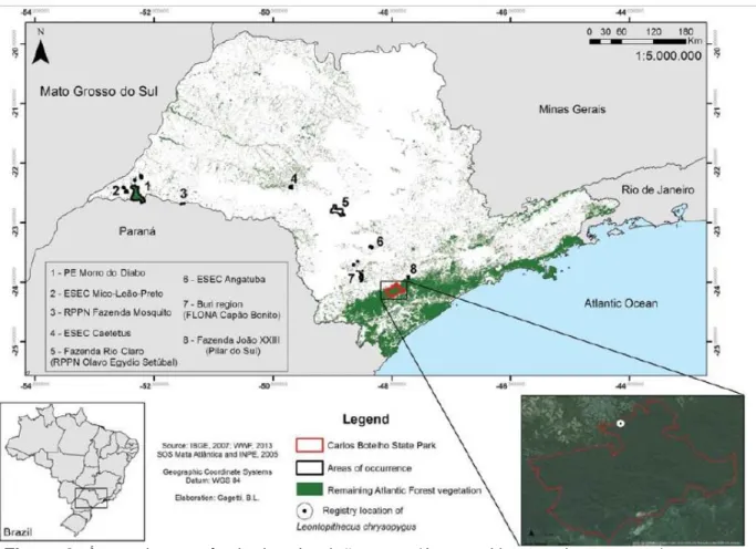 Figura 3: Localização dos registros de mico-leão-preto (Leontopithecus chrysopygus)  nos municípios de Guareí,  Taquarivaí  e Borebi (Fonte: CULOT et al., 2015)