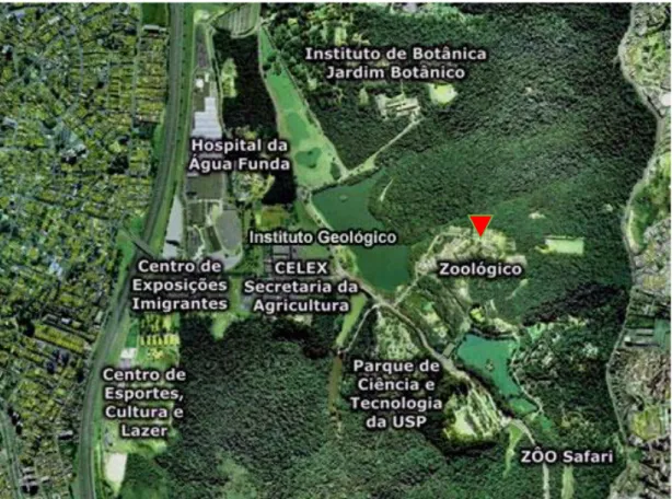 Figura  4:  Mapa  mostrando o  Parque  Zoológico  de  São  Paulo  inserido  dentro  do  Parque Estadual Fontes do Ipiranga  (Fonte: CONDEPEFI, 2016)