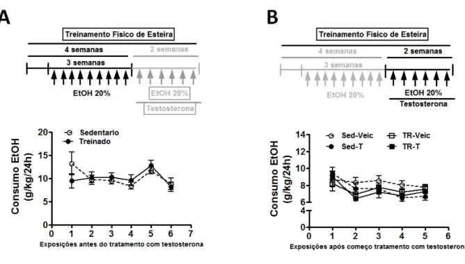 Figura 3. Efeito do exercício físico moderado de esteira e/ou tratamento com testosterona no  consumo de etanol