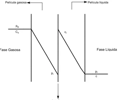 Figura 2.2. Representação da interface líquido gás e películas estagnadas (THOMASI, 2010.)