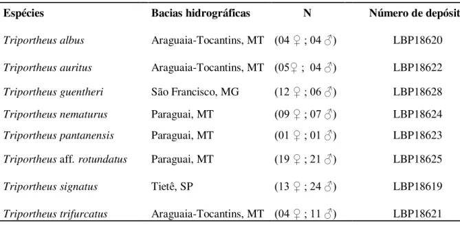 Tabela 1. Espécies de  Triportheus  investigadas, com as respectivas bacias hidrográficas onde 12 
