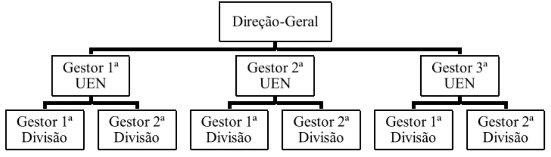 Figura 6. Estrutura por Unidades Estratégicas de Negócios (Teixeira, 2005) Diretor-Geral 