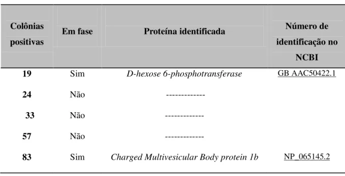 Tabela 5  –  Candidatas a possíveis parceiros protéicos da MEG-5. 