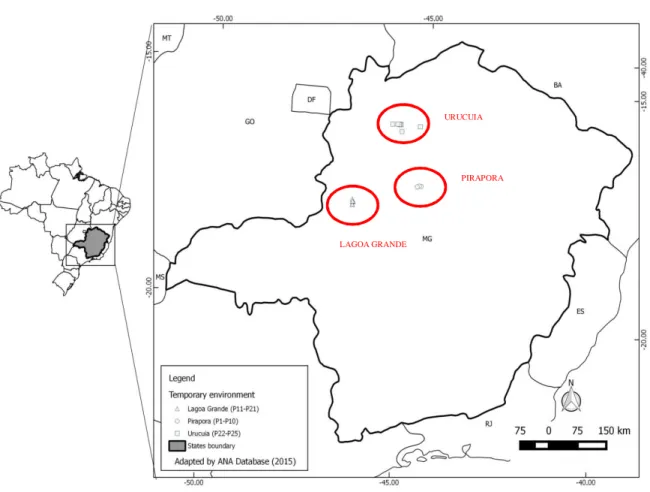 Figura  1:  Localização  dos  ambientes  aquáticos  temporários  nos  município  de  Lagoa  Grande, Urucuia e Pirapora, estado de Minas Gerais, Brasil