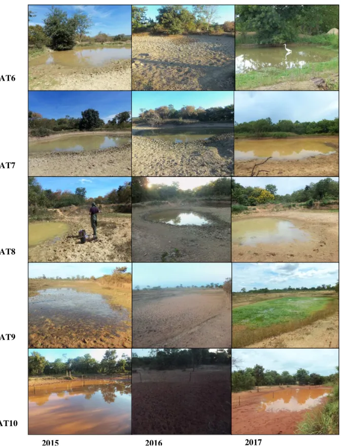 Figura 2: Visão geral das 10 lagoas temporárias localizadas no município de Urucuia,  Minas Gerais, Brasil, durante os três períodos de coleta