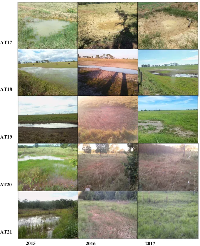 Figura 3: Visão geral das 11 lagoas temporárias localizadas no município de Lagoa  Grande, Minas Gerais, Brasil, durante os três períodos de coleta