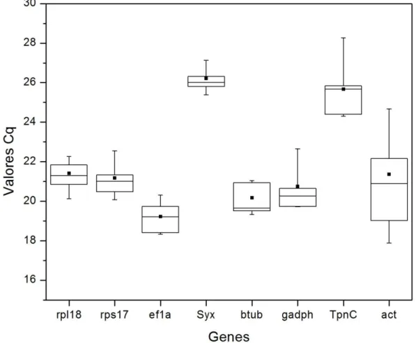Figura 3. Variação dos níveis de expressão dos candidatos a gene de referência para estudos de  expressão  por  qPCR  em  A