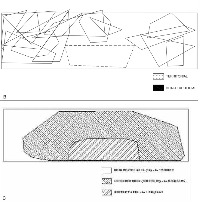Figure 4. a/b) The results of two 30min observation sessions taken to determine the actuation  areas of different Little Blue Heron individuals foraging in the demarcated area, in the  Cananéia estuary