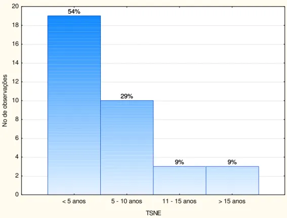 Figura 4.9. Perfil da amostra quanto ao tempo de serviço no empreendimento pesquisado