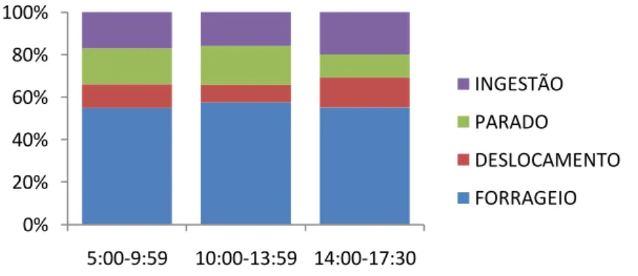 Fig. 05  – Orçamento de atividades de Callithrix jacchus entre os diferentes horários ao  longo do dia