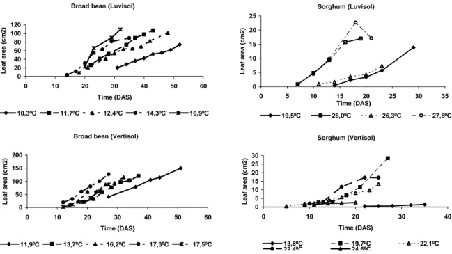 Fig.  1  shows  the  time  course  of  leaf  area  per  plant  of  broad  bean  and  sorghum  for  various  mean  temperatures  computed  from  sowing