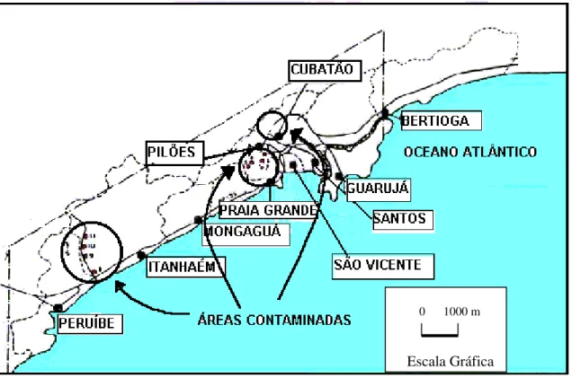 FIGURA 1 -  Localização das áreas contaminadas com resíduos organoclorados na  Região da Baixada Santista, S.P