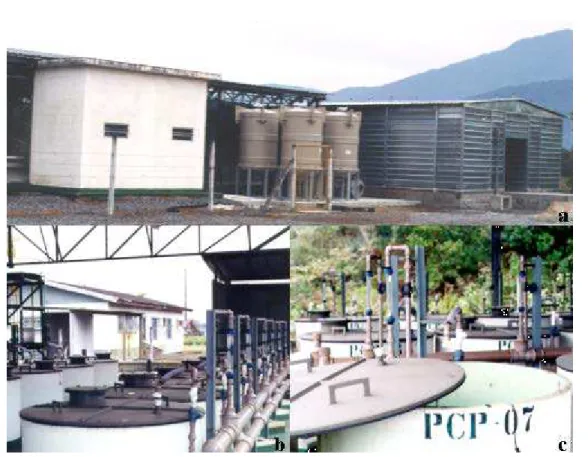 FIGURA 2 -  Vista geral das instalações (a) e dos biorreatores (b, c), na Estação  de Espera, km 67 da Rodovia Padre Manoel da Nóbrega, São  Vicente, S.P