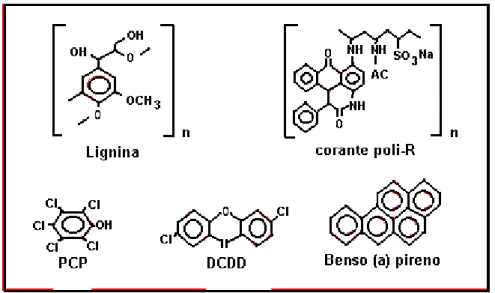 FIGURA 4 -  Fórmula estrutural da lignina e de poluentes  aromáticos como: corantes, clorados aromáticos e  hidrocarbonetos policíclico aromáticos