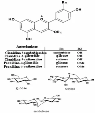 Figura II – Estrutura química das antocianinas presentes no açaí.  