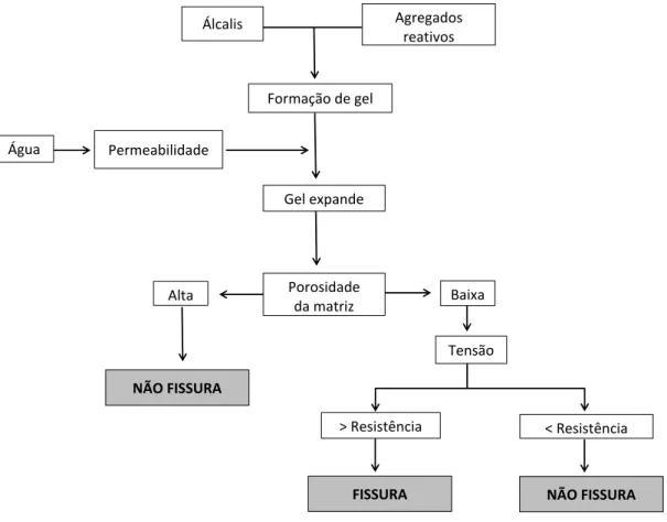 Figura 2.3. Desenvolvimento das rea¸c˜oes ´ alcali-agregados Fonte: Adaptado Valduga (2002)