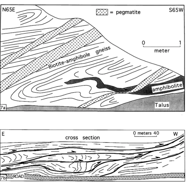 Fig. 7. (a) Outcrop sketch of SW-vergent isoclinally folded biotite-amphibole gneisses cut by undeformed to sheared and attenuated (arrow) syn- to post-tectonic pegmatite dikes