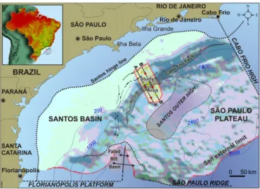 Figure 2. Simpli ﬁ ed stratigraphic chart of the Santos Basin outlining the ﬁ veteen horizons interpreted in the seismic pro ﬁ les during the study