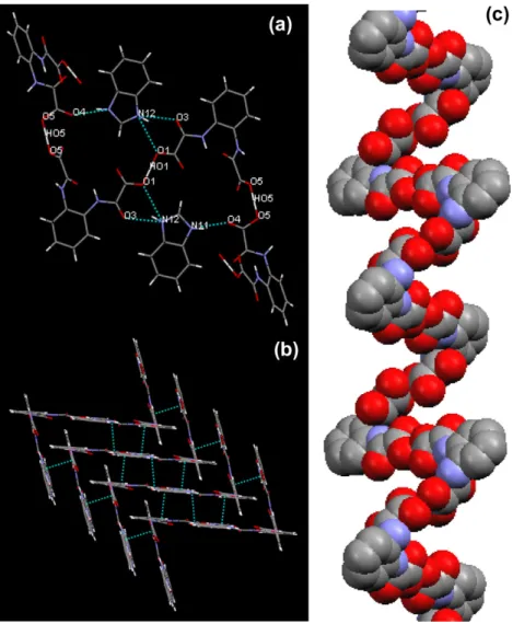 Fig. 3. Optimized geometries of 2, using BLYP/6-31G  calculations for structures in the gaseous phase.