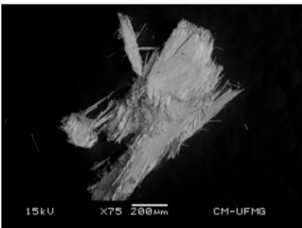 Fig. 1. Backscattered electron image (BSI) of a yuksporite single crystal up to 1.0 mm in length.