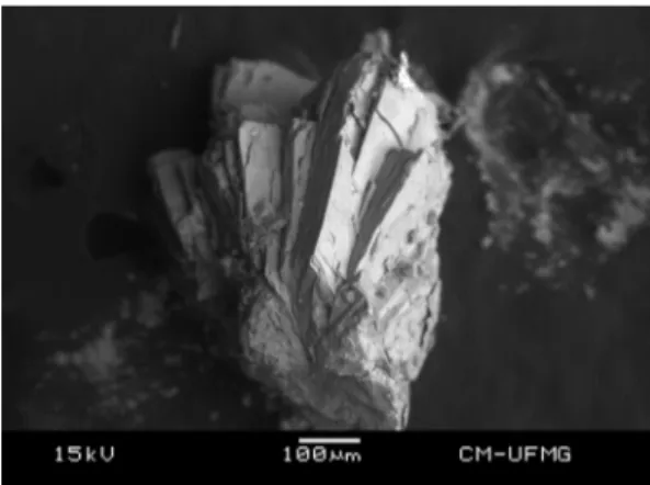 Fig. 1. Backscattered electron image (BSI) of a ushkovite crystal aggregate up to 0.5 mm in length.