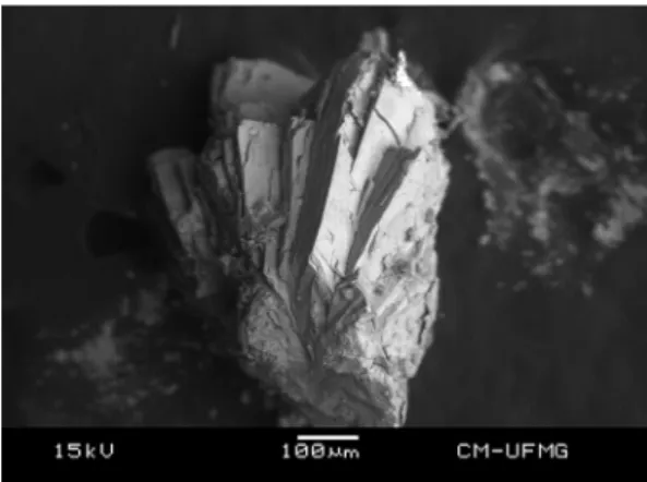 Fig. 1. Backscattered electron image (BSI) of a ushkovite crystal aggregate up to 0.5 mm in length.