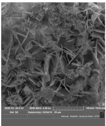 Fig. 1. Backscattered electron image (BSI) of a brianyoungite crystal aggregate up to 0.1 mm in length.
