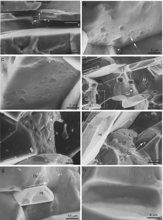 Fig. 4 – SEM micrographs showing quartz grain boundaries on differently oriented interfaces with respect to the directions of the finite strain ellipsoid