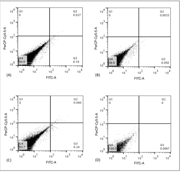 Figura  4.  Imunomarcação das  SHEDs  com  Anexina  V/PI.  Q1:Anexina  V  negativo/PI  positivo;  Q2: Anexina V/PI positivos; Q3:Anexina V positivo/PI negativo; Q4: Anexina V/PI negativos