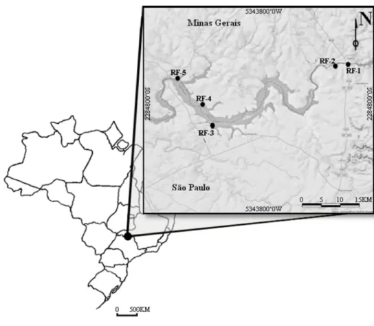 Figure  1:  Location  of  the  five  areas  of  restored  riparian  forest  around  the  Hydroelectric  Power  Plant  of  Volta Grande reservoir, between Minas Gerais and São Paulo states