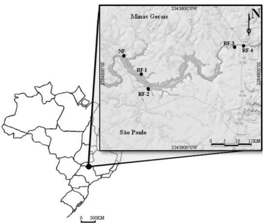 Figure 1: Sampling units on the Riparian Forest of Volta Grande Reservoir, Southwest Cerrado Domain,  Brazil