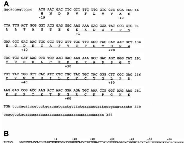 Fig. 2. (A) Nucleotide sequence of cDNA encoding TbTx5. The coding region is shown in uppercase with the 5 0 and 3 0 untranslated regions in lowercase