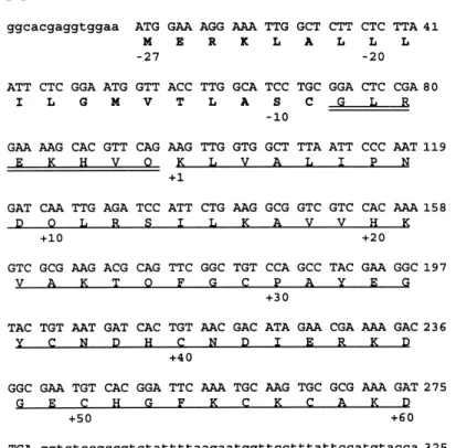 Fig. 3. (A) Nucleotide sequence of cDNA encoding cTsTxKb. The hydrophobic region (signal peptide) is indicated (bold), the putative propeptide is underlined twice and the segment that corresponds to the amino acid sequence of cTsTxKb is underlined