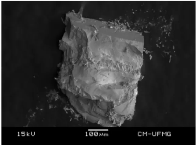 Fig. 1. Backscattered electron image (BSI) of a tilleyite crystal aggregate up to 0.5 mm in length.