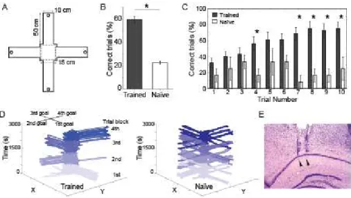 Figure  1.  Experimental  design  and  behavioral  performance  in  the  spatial  choice  task