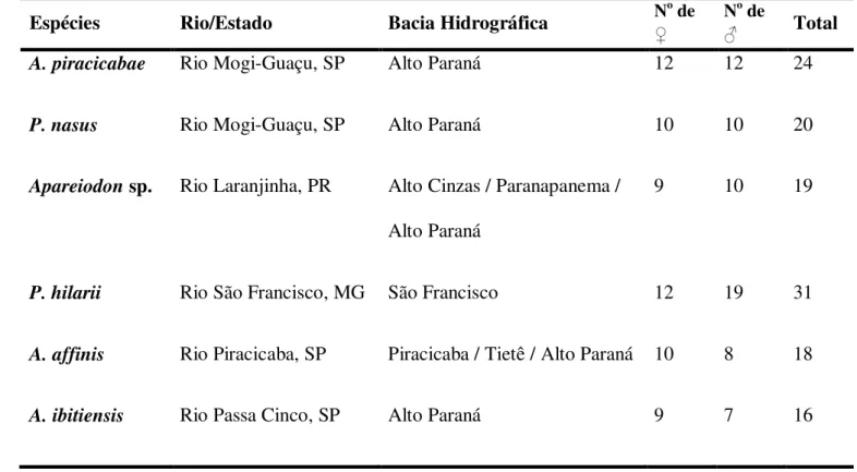 Tabela 1. Espécies estudadas e locais de amostragem. As espécies são mantidas no Museu de Zoologia  do Núcleo de Pesquisas em Limnologia, Ictiologia e Aquicultura da Universidade Estadual de Maringá  (NUPELIA) e no Museu de Zoologia da Universidade de São 