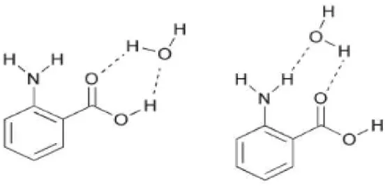 Figura  2  –  A  molécula  o-Abz  micro-hidratada:  (I)  a  água  está  próxima  ao  grupo  carboxílico  e  (II)  água  entre  o  grupo  COOH  e  o  grupo  NH 2 