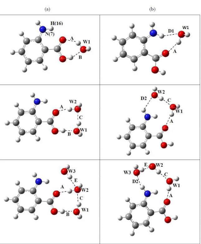 Figura  17  -  Estrutura  de  equilíbrio  dos  vários  agrupamentos  de  o-Abz-água.  As  letras  maiúsculas são para facilitar a identificação dos dados exposto na Tabela 1