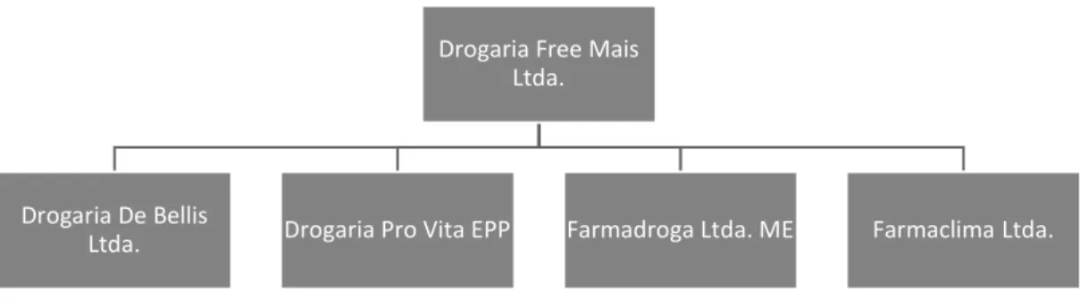 Figura 6 – Organograma do Grupo Pro Vita no momento de sua constituição 