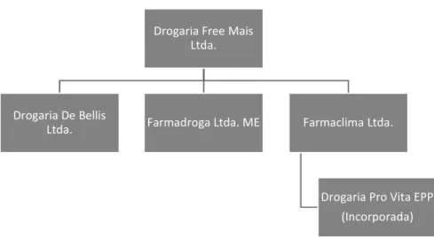 Figura 7 - Organograma da estrutura do Grupo Pro Vita após alterações societárias 