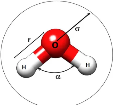 FIGURA  4.3  –  Molécula  de  água,  as  bolas  vermelha  e  brancas  indicam  o  oxigênio e os hidrogênios respectivamente