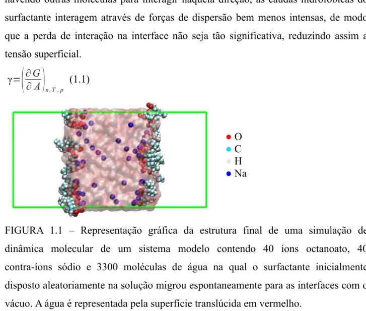 FIGURA   1.1   –   Representação   gráfica   da   estrutura   final   de   uma   simulação   de dinâmica   molecular   de   um   sistema   modelo   contendo   40   íons   octanoato,   40 contra-íons   sódio   e   3300   moléculas   de   água   na   qual   