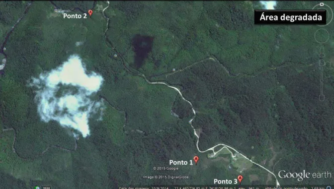 Figura 6. Localização dos pontos de coleta em área degradada do Núcleo Santa Virgínia, São Luiz do Paraitinga,  SP, Brasil