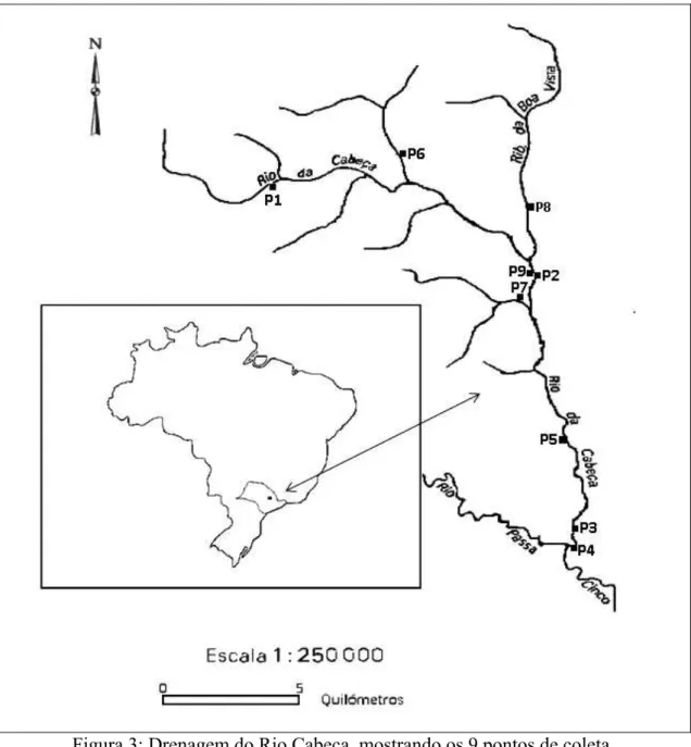 Figura 3: Drenagem do Rio Cabeça, mostrando os 9 pontos de coleta. 
