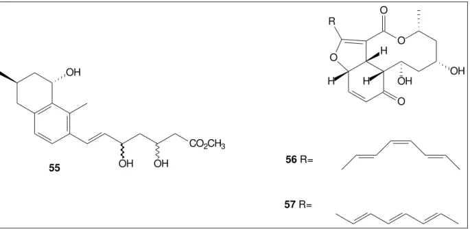 FIGURA 2.8 - Metabolitos isolados do fungo Colletotrichum fragariae e  Colletotrichum lagenarium