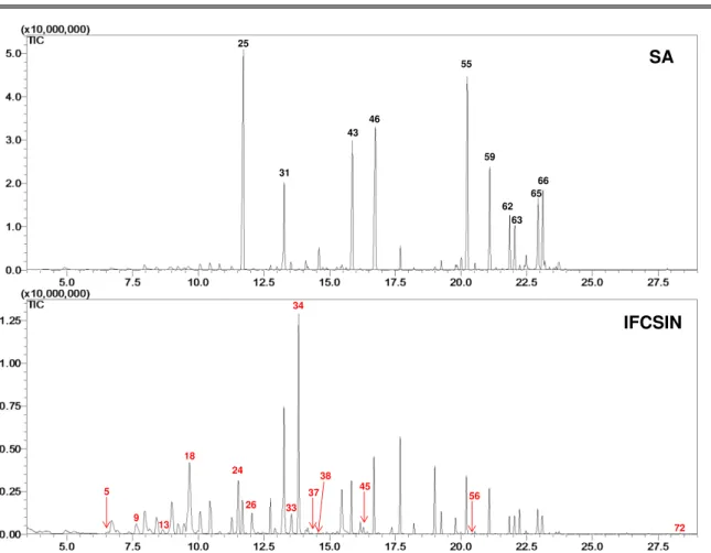 FIGURA 4.5 -  Cromatograma de íons totais (TIC) dos voláteis de Citrus sinensis  sadia  (SA)  e  infectada  com  Xac  306  com  sintomas  do  cancro  cítrico  (IFCSIN)  obtidos por HS-SPME/GC-MS utilizando N 2  no processo de extração