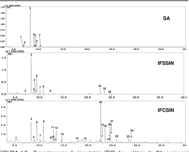 FIGURA 4.8 - Cromatograma de íons totais (TIC) dos voláteis de Citrus sinensis  sadia (SA); infectada com Xac 306, mas sem sintomas (IFSSIN) e infectada com  Xac  306  e  com  sintomas  do  cancro  cítrico  (IFCSIN)  obtidos  por  “ headspace ”  dinâmico-G