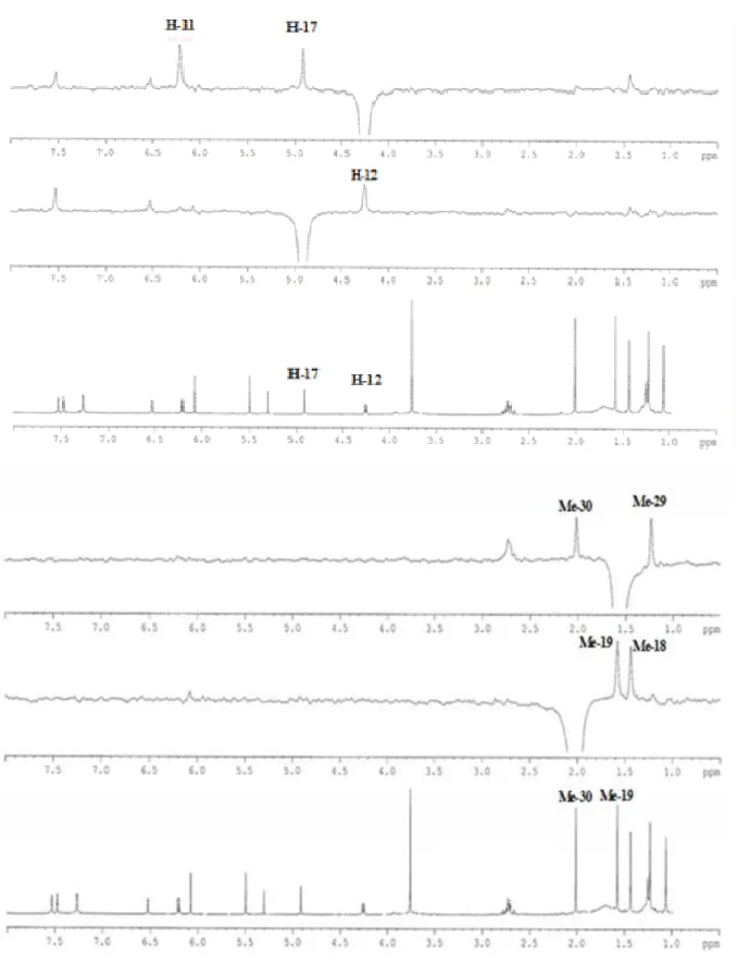 FIGURA 1.13: Espectro de g-NOESY-1D de 02 irradiando H-17, H-12, Me-30  e Me-19 (CDCl , 400 MHz) 