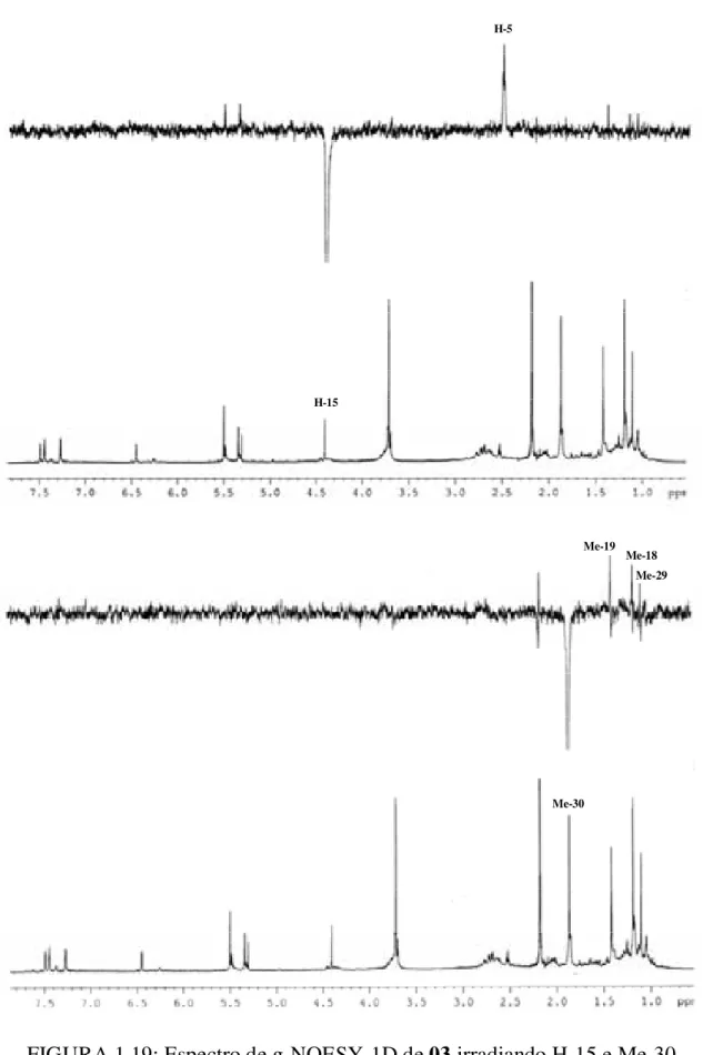 FIGURA 1.19: Espectro de g-NOESY-1D de 03 irradiando H-15 e Me-30  (CDCl 3 , 400 MHz)