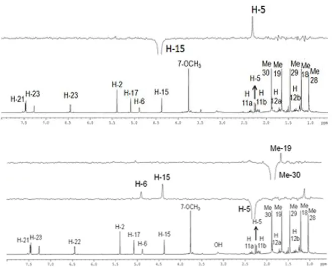 FIGURA 1.27: Espectro de g-NOESY-1D de 04 irradiando H-15, H-5 e Me-30  (CDCl 3 , 400 MHz) 